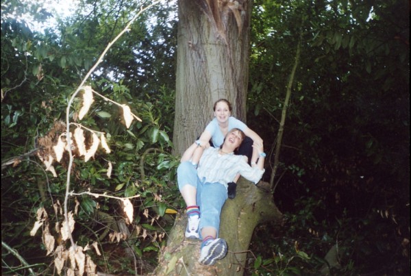 Click for the original image